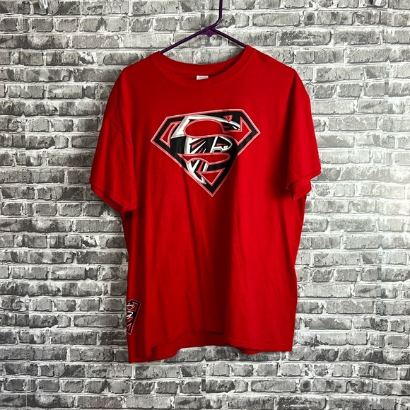 Falcons - Picture 1 of 9